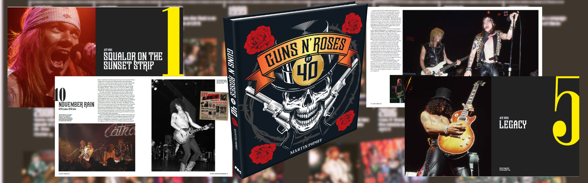 banner for Guns N' Roses at 40
